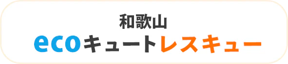 和歌山 ecoキュートレスキュー
